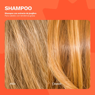Shampoo con extracto de jengibre | Para cabello con tendencia grasa | BE HONEST | 240ml